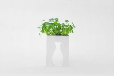 Empty vase series  