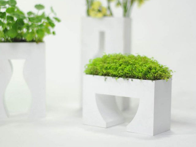 Empty vase series  